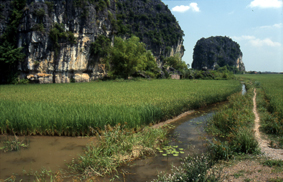 Las colinas de piedra caliza son caracteristicas del paisaje de Tam Coc