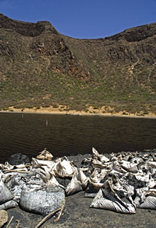 En las orillas del lago se amontonan las bolsas donde se deposita la sal una vez extra�da del agua