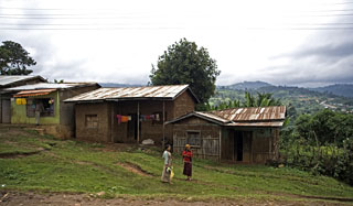 De camino a Addis, regresamos a la frondosidad y el verdor de los pastos que ya descubrimos en la primera parte del recorrido