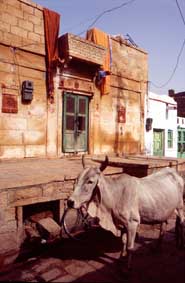 No hay mucho turista en Jaisalmer a nuestra llegada